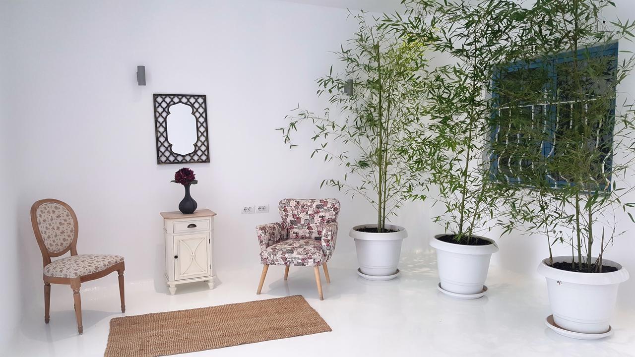 Hotel Cava Boutique *